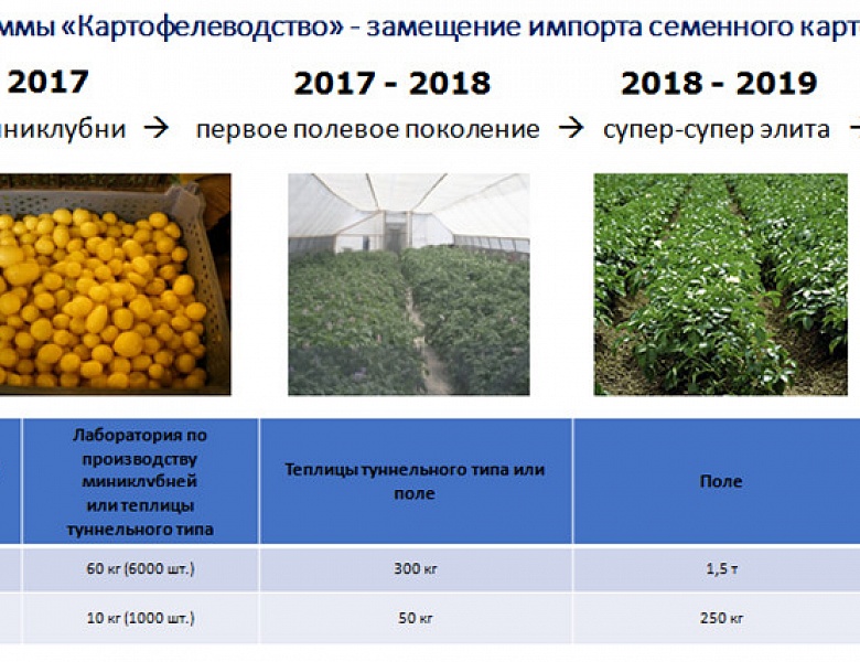 В 2017 году стартовала Федеральная научно-техническая программа развития сельского хозяйства на 2017 – 2025 гг.